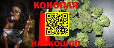 mdma Новодвинск
