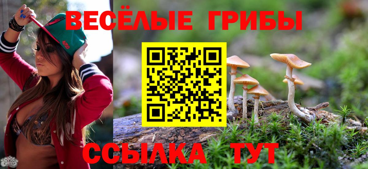 Унеча  Галлюциногенные грибы MAGIC MUSHROOMS  Псилоцибиновые грибы мухоморы  Вход с VPN 