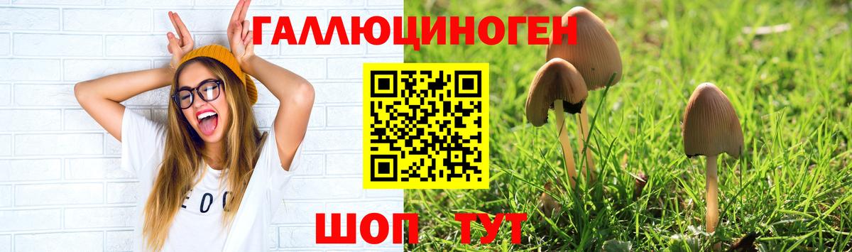 Галлюциногенные грибы GOLDEN TEACHER Унеча